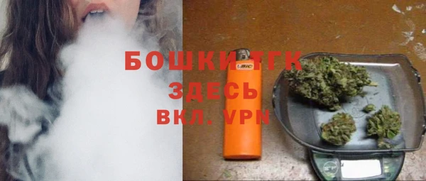 трава Бородино