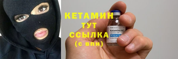 трава Бородино