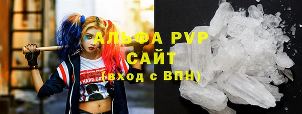 трава Бородино