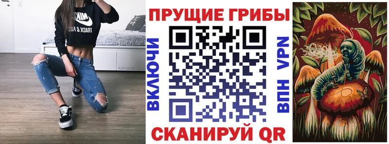 Купить Аркадак Псилоцибиновые грибы ЛСД